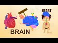 14 HEART - Learn about Human Body Parts For Kids (Tamil)