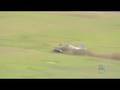 P-51 Mustang Crash 05/04/08