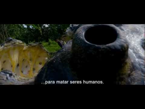 Imagen de previsualización de YouTube