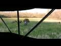 Illinois Turkey Hunting Video.