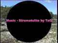 lake preston is one of the yalgorup lakes, south of mandurah, western australia. the carbonate microbialites on the lake floor resemble tufa deposits.  the music is from the cd 