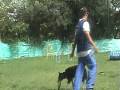 videos de kira frisbee.mpg