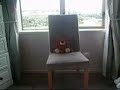 It All Started With A Chair