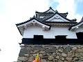 ひこにゃん 5