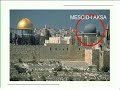 MESC?D-? AKSA GER�E??