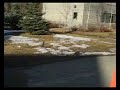 Duck1 Duck1