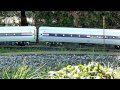 AMTRACK LONG TRAIN