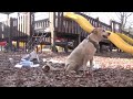 R.E.S.P.E.C.T. Radford Commerical