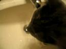 Max drinking water from faucet