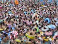 Tokyo Summerland - Exciting Japan!