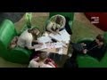 IntoUniversity - Mentoring program supported by Deutsche Bank in the UK