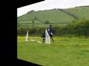 cobs and cross\ cobs and cross\