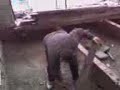 builders playing tennis