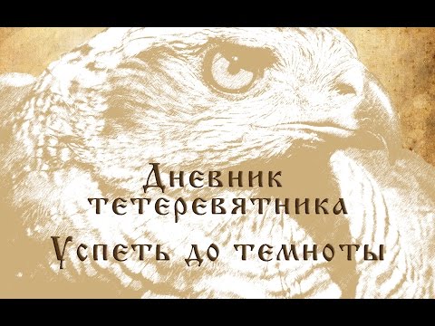 YouTube Трейлер
