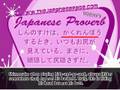 Japanese Proverb - 頭隠して、尻隠さず Hide Head, Don't Hide Butt