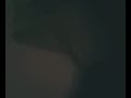 Me da minha sardinha velho
