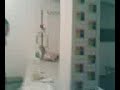 Me da minha sardinha velho