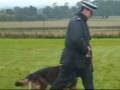 videos de Police Dog Display (Help for Heroes) west mercia