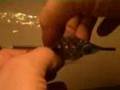 The Turbulator Fly - Trolling Fly - Teaser