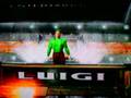 Luigi CAW Entrance