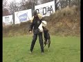 BESI YUCERO BOHEMIA A FIGURANT V.GLISNÍK