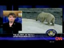 glenn-becks-real-story-energy-independence.html