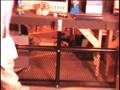 #4264 500lb Cargo Carrier $34