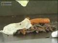 Obesidade na Midia - Globo Reporter  - 04/04/2008 - Parte 1