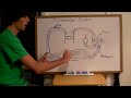 Turbochargers - Explained