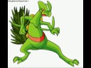 My Favorite Pokemon