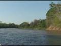 videos de Passeio de Barco no Rio Miranda - Pantanal MS - Parte 3
