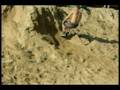 Free Run Żnin 2008 Trailer