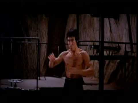 bruce lee vs