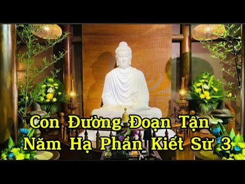 NIKAYA Giảng Giải - Con Đường Đoạn Tận Năm Hạ Phần Kiết Sử 3 - Đại Kinh MALUNKYAPUTTA ,Trung Bộ 64