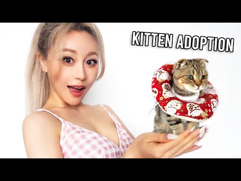 I Adopted A New Munchkin Kitten... (emotional)