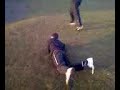 Jackass juniors fatty bardg Jackass juniors fatty bardg