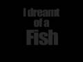idreamt 27fps