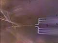 Grabbing a silicon nanowire