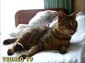 ツネオ君何かに驚く！