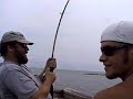 Jack Crevalle
