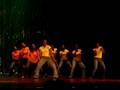 videos de highsteppers low