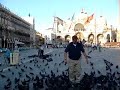 Venice Pigeons