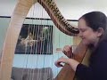 Celtic Harp: Si Bheag Si Mhor Celtic Harp: Si Bheag Si Mhor