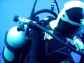 plong�e  en egypte sur le site de elphinstone. plong�e avec les requins longimanus