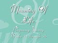 pregnancy journey part 3  weeks 31 36 