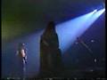 SANDII & THE SUNSETZ -BABES IN THE WOODS(LIVE)
