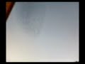 Doubletree Birds.mov