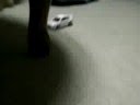 ランサーエボリューションⅩ:CAUL ER