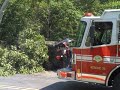 Boy Meets Tree in Dad\