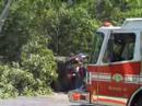 Boy Meets Tree in Dad's BMW X5